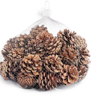 Punga Conuri 6/8cm  S/30