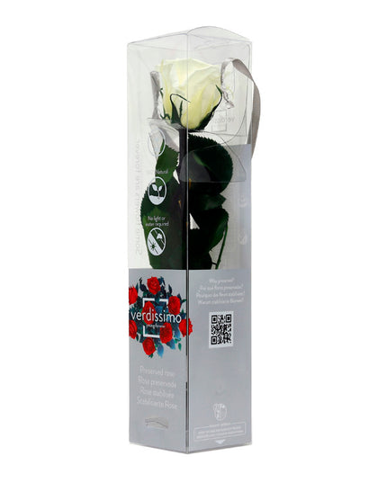 Trandafir criogenat tija 27cm Ø3.5-4.5cm vanilie