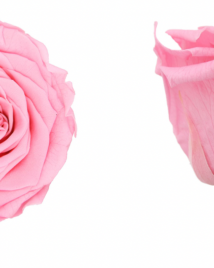 Trandafir criogenat Ø7cm roz pal