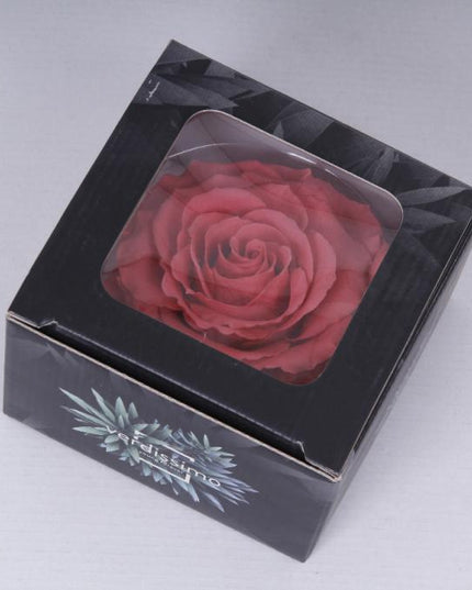 Trandafir criogenat Ø9-10cm roz inchis
