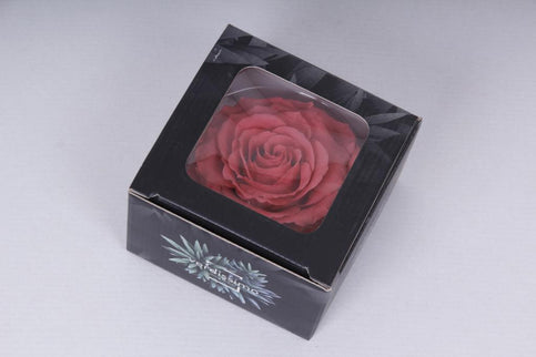 Trandafir criogenat Ø9-10cm roz inchis