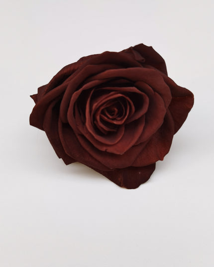 Trandafir criogenat Ø7-8cm maro