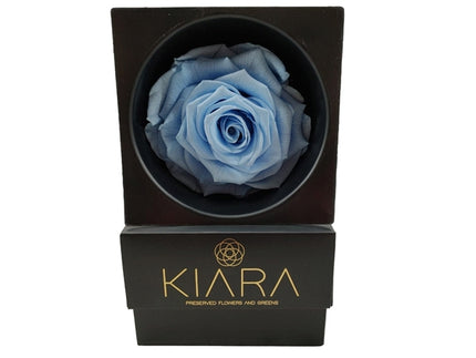 Trandafir criogenat Ø9cm baby blue