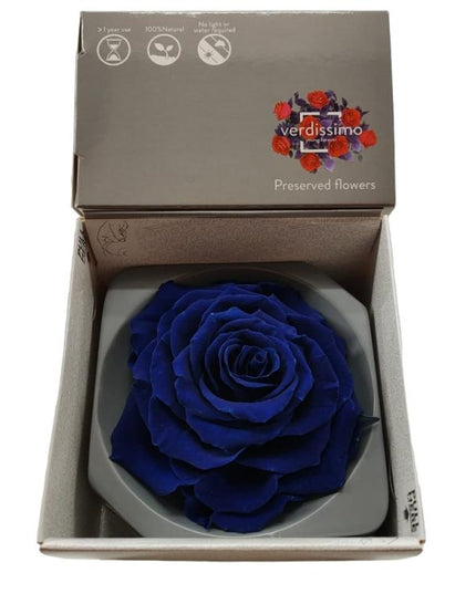 Trandafir criogenat Ø9cm dark blue