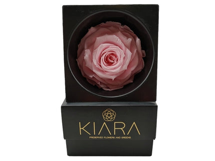 Trandafir criogenat Ø9cm bridal pink