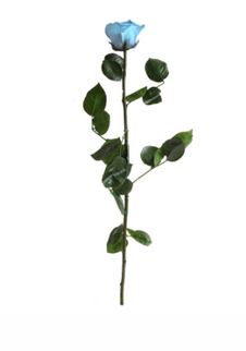 Trandafir criogenat tija 45cm Ø5cm vrac albastru deschis
