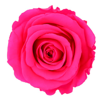 Trandafir criogenat tija 45cm Ø5cm vrac roz fucsia