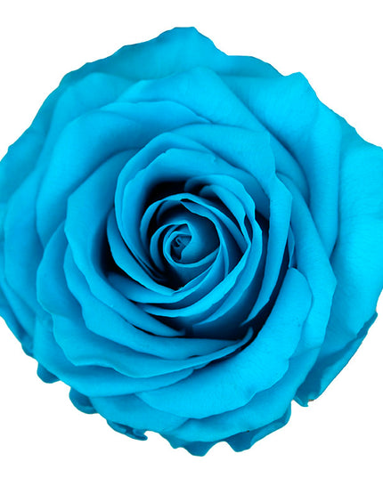 Trandafir criogenat Ø7cm turquoise