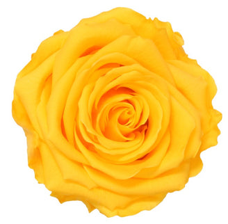 Trandafir criogenat Ø7cm galben cald