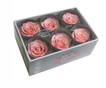 Trandafir criogenat Ø5.5-6cm bridal pink