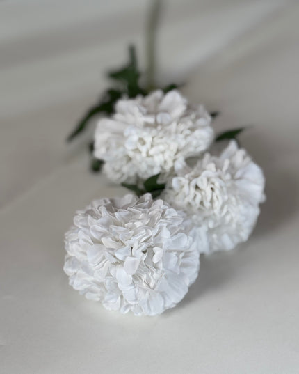 Crizantema pon pon (3 flori) alb