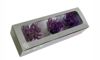 Crizantema criogenata mov Ø7-8cm