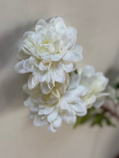 Dalia artificiala (4 flori) alb