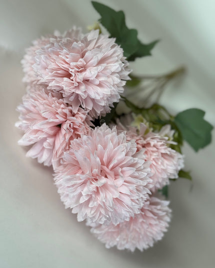 Dalia pon pon (7 flori) roz pal