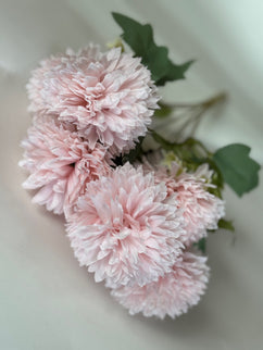 Dalia pon pon (7 flori) roz pal