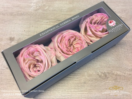 TRANDAFIR CRIOGENAT DAVID AUSTIN PINK O'HARA