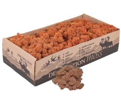 Licheni conservati Mango 500G