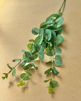 Eucalipt artificial 1