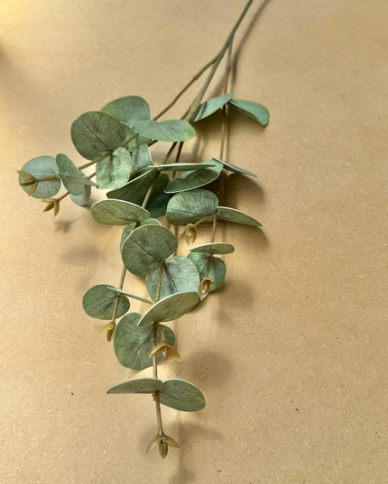 Eucalipt artificial 2