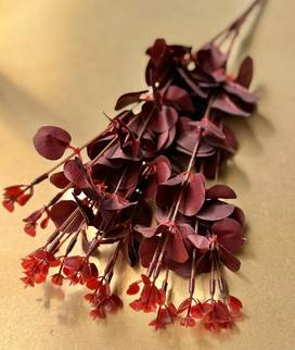 Eucalipt artificial roșu