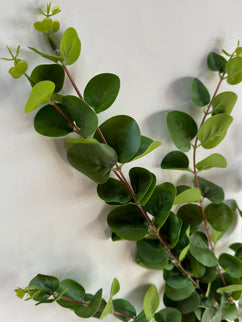 Eucalipt artificial 5
