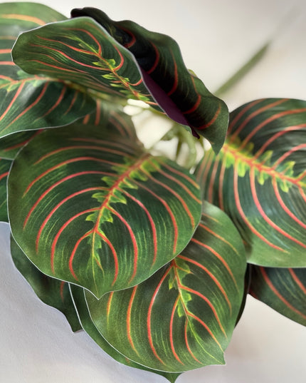 Verdeata artificiala marantha