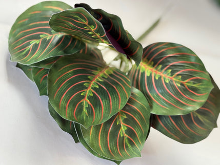 Verdeata artificiala marantha