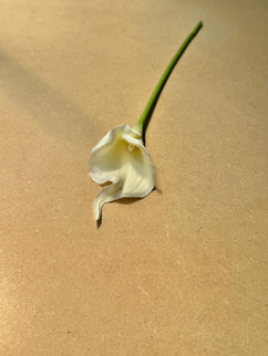 Calla artificiala alba