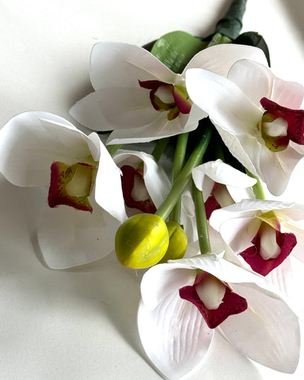 Orhidee Cymbidium artificiala alba