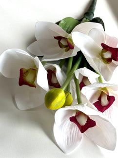 Orhidee Cymbidium artificiala alba