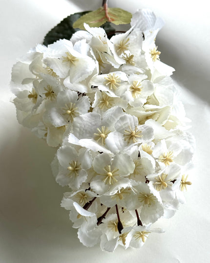 Delphinium artificial alb