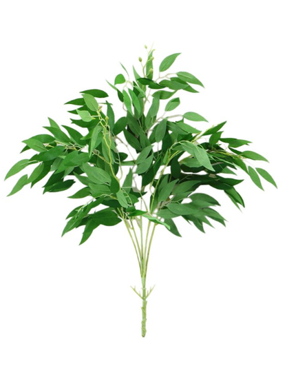 Eucalipt parvifolia artificial