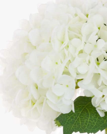 Hortensia artificiala ⌀25cm alb