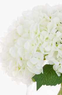 Hortensia artificiala ⌀25cm alb