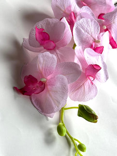 Orhidee Phalaenopsis artificiala roz pal