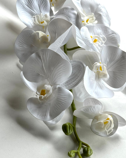 Orhidee Phalaenopsis artificiala alba