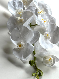 Orhidee Phalaenopsis artificiala alba