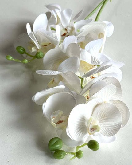 Orhidee Phalaenopsis artificiala  (flori mici) alb