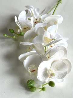 Orhidee Phalaenopsis artificiala  (flori mici) alb