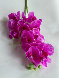 Orhidee Phalaenopsis artificiala  (flori mici) roz inchis