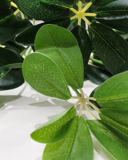 Schefflera artificiala (11 frunze)