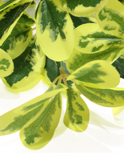 Schefflera artificiala gold (11 frunze)