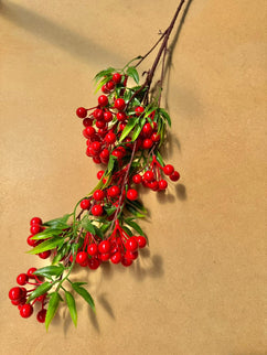 Viburnum artificial rosu