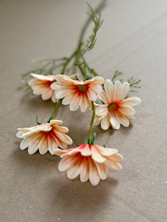 Margarete artificiale peach
