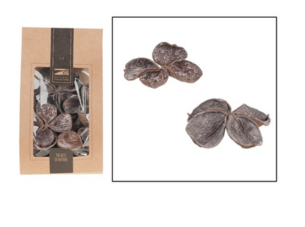 Decor flori lotus S/50