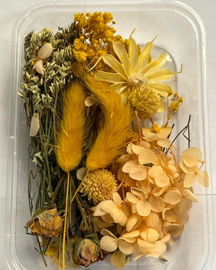 Flori uscate caserola 11