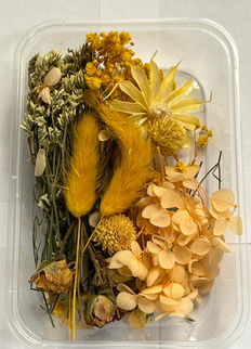 Flori uscate caserola 11