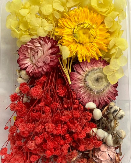 Flori uscate caserola 16