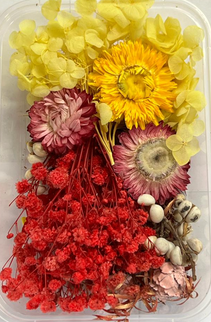 Flori uscate caserola 16