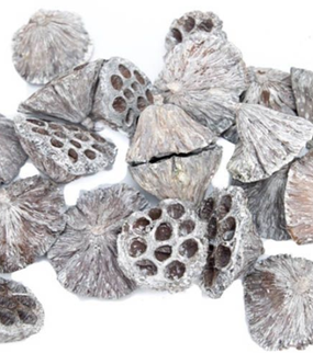 Decor flori lotus S/25 alb